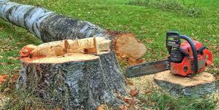 Best Emergency Tree Removal  in Carlinvle, IL